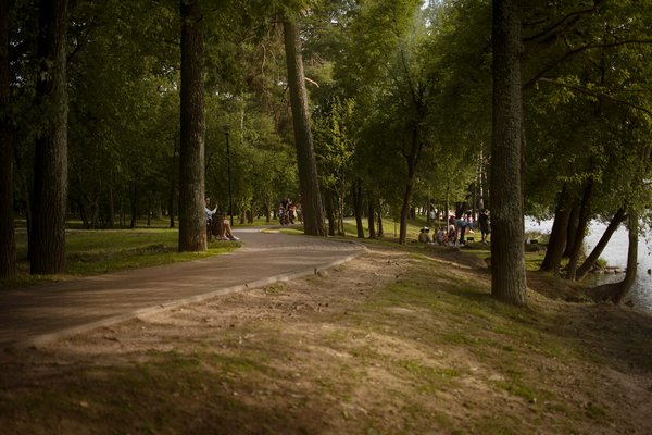 Diabète au travail : vos droits et conseils pour mieux gérer