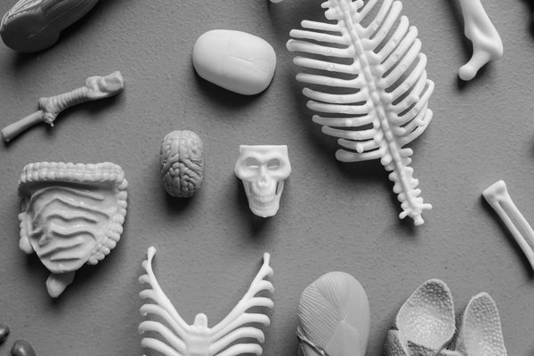 Les bienfaits du yoga chez les seniors pour prévenir les maladies